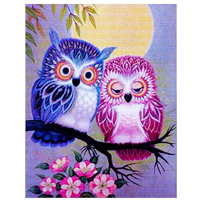 Алмазная мозаика «Парочка» 20×27 см, 27 цветов + наклейка