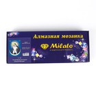 Алмазная мозаика «Остробрамская икона Божией Матери» без подрамника, 30 × 40 см + наклейка 7704298 - фото 16255320