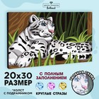 Алмазная мозаика на подрамнике с полным заполнением «Снежный барс», 20 × 30 см 7368258 - фото 9639651