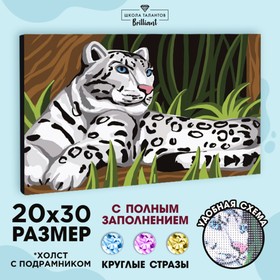 Алмазная мозаика на подрамнике с полным заполнением «Снежный барс», 20 × 30 см