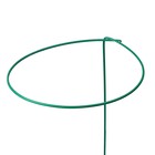 Кустодержатель для цветов, d = 30 см, h = 70 см, ножка d = 0.3 см, металл, зелёный, Greengo - Фото 5
