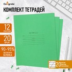 Комплект тетрадей из 20 шт, 12 листов, косая линейка, Зёленая обложка (Архангельск), белизна 100% 6625797 - фото 1166941