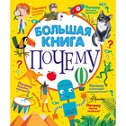 Большая книга почему. Бобков П.В., Косенкин А.А. 7793444 - фото 9640139