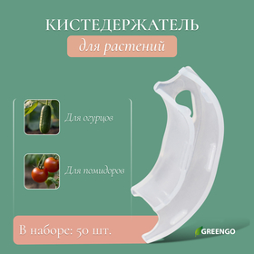 Кистедержатель «Улитка», набор 50 шт., Greengo