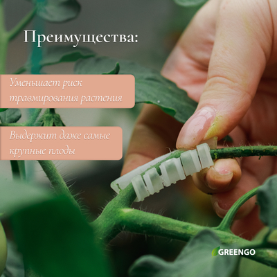 Кистедержатель «Улитка», 3.5 см, набор 50 шт., Greengo