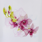 Горшок для орхидей с поддоном, 3.5 л, пластиковый, прозрачный - Фото 2