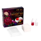 Мыло с сухоцветами своими руками «Храбрый львёнок», набор для мыловарения - фото 35303828