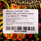 Саженец Яблоня штамбовая (на семенном подвое) ОКС Исеть белая, 1 шт, Осень 2025 - Фото 2