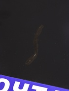 УЦЕНКА Ящик почтовый «Письмо», горизонтальный, без замка (с петлёй), чёрный - Фото 14