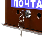 УЦЕНКА Ящик почтовый «Письмо», горизонтальный, без замка (с петлёй), чёрный - Фото 9