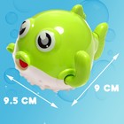 Игрушка заводная «Рыбка фугу», водоплавающая, цвета МИКС - фото 6566857