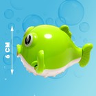 Игрушка заводная «Рыбка фугу», водоплавающая, цвета МИКС - фото 6566858