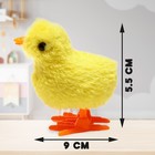 Игрушка заводная «Цыплёнок», цвета МИКС - Фото 2