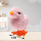 Игрушка заводная «Цыплёнок», цвета МИКС - фото 7500271