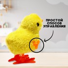 Игрушка заводная «Цыплёнок», цвета МИКС - фото 7500273