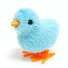 Игрушка заводная «Цыплёнок», цвета МИКС - Фото 6