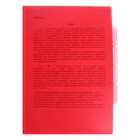 Папка-уголок, А4, 150 мкм, Calligrata, 3 отделения, прозрачная, красная - Фото 2