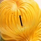 Копилка "Бегемотик Поп-звезда" 29х16х14см - Фото 4