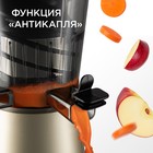 Соковыжималка REDMOND RJ-930S, шнековая, 400 Вт, 0.6/0.6 л, 55 об/мин, шампань - фото 51334836 Соковыжималка REDMOND RJ-930S, шнековая, 400 Вт, 0.6/0.6 л, 55 об/мин, шампань - фото 51334836