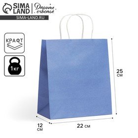 Пакет подарочный крафтовый, упаковка, «Blue», 22 х 25 х 12 см