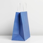 Пакет подарочный крафтовый, упаковка, «Blue», 22×25×12 см 7098730