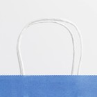 Пакет подарочный крафтовый, упаковка, «Blue», 22×25×12 см - фото 57956993
