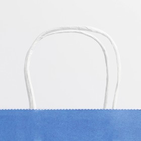 Пакет подарочный крафтовый, упаковка, «Blue», 22×25×12 см