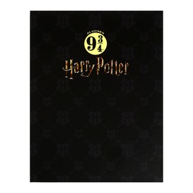Тетрадь на 4-х кольцах, А5, 160 листов, в клетку, "Гарри Поттер", твёрдая обложка, матовая ламинация