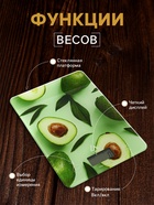 Весы кухонные Luazon LVK-501 «Авокадо», электронные, до 7 кг - Фото 2