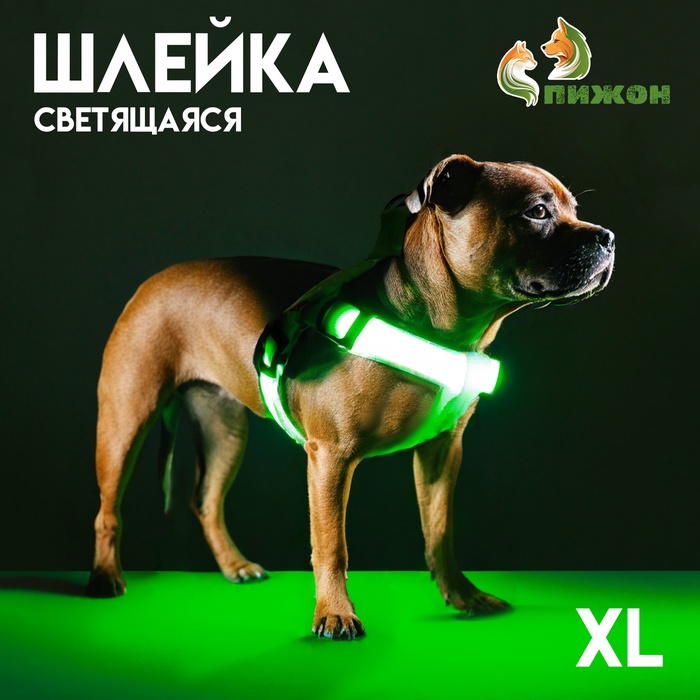 

Шлейка светящаяся размер XL, стропа 2,5 см, ОГ 60-70 см, 3 режима свечения зелёная