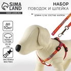 Поводок «Дикий и пушистый» 120×1 см, шлейка 24-36 см - Фото 1