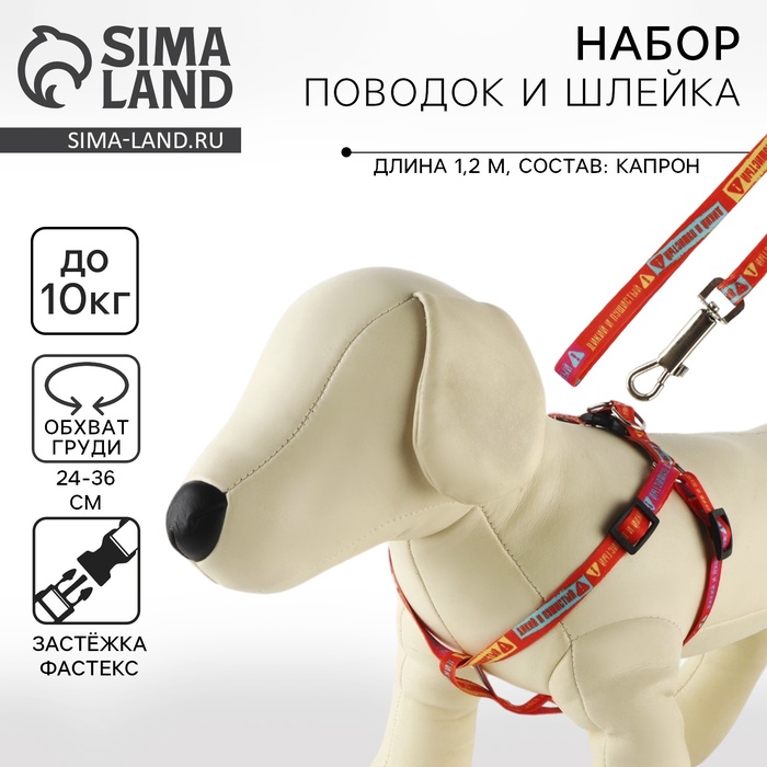 Поводок «Дикий и пушистый» 120×1 см, шлейка 24-36 см - Фото 1