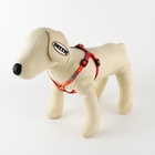 Поводок «Дикий и пушистый» 120×1 см, шлейка 24-36 см - Фото 3