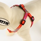 Поводок «Дикий и пушистый» 120×1 см, шлейка 24-36 см - Фото 2