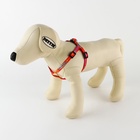 Поводок «Дикий и пушистый» 120×1 см, шлейка 24-36 см - Фото 4