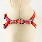 Поводок «Дикий и пушистый» 120×1 см, шлейка 24-36 см - Фото 5