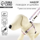 Поводок «Ласточки» 120×1 см, шлейка 24-36 см - Фото 1