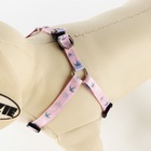 Поводок «Ласточки» 120×1 см, шлейка 24-36 см - Фото 3