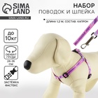 Поводок «Маленькая леди» 120×1 см, шлейка 24-36 см - Фото 1