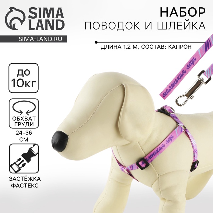 Поводок «Маленькая леди» 120×1 см, шлейка 24-36 см - Фото 1