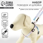 Поводок «Моя радость» 120×1 см, шлейка 24-36 см - Фото 1