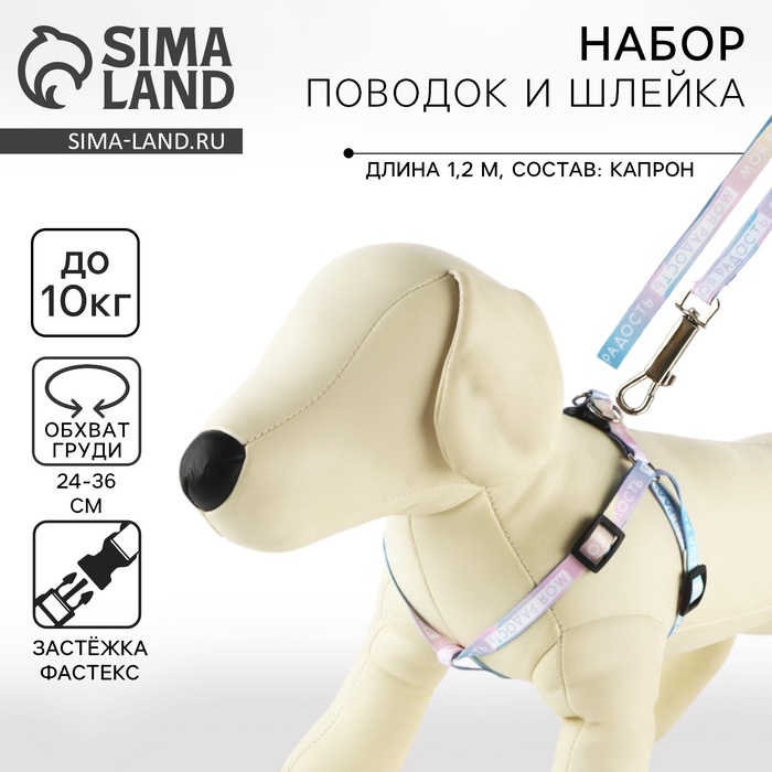 Поводок «Моя радость» 120×1 см, шлейка 24-36 см - Фото 1
