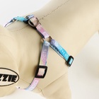 Поводок «Моя радость» 120×1 см, шлейка 24-36 см - Фото 3