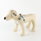 Поводок «Моя радость» 120×1 см, шлейка 24-36 см - Фото 4