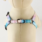 Поводок «Моя радость» 120×1 см, шлейка 24-36 см - Фото 5