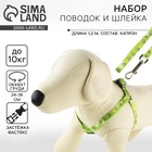 Поводок «Авокадо» 120×1 см, шлейка 24-36 см - Фото 1