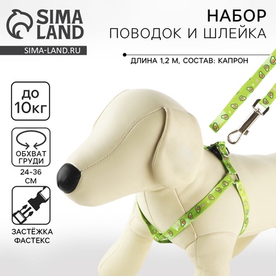 Поводок «Авокадо» 120×1 см, шлейка 24-36 см