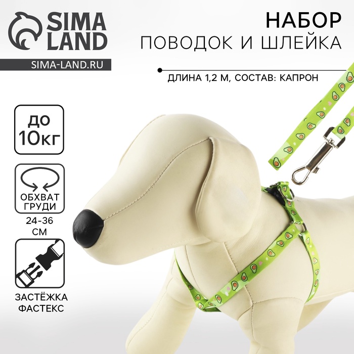 Поводок «Авокадо» 120×1 см, шлейка 24-36 см - Фото 1