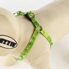 Поводок «Авокадо» 120×1 см, шлейка 24-36 см - Фото 3