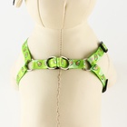 Поводок «Авокадо» 120×1 см, шлейка 24-36 см - Фото 5